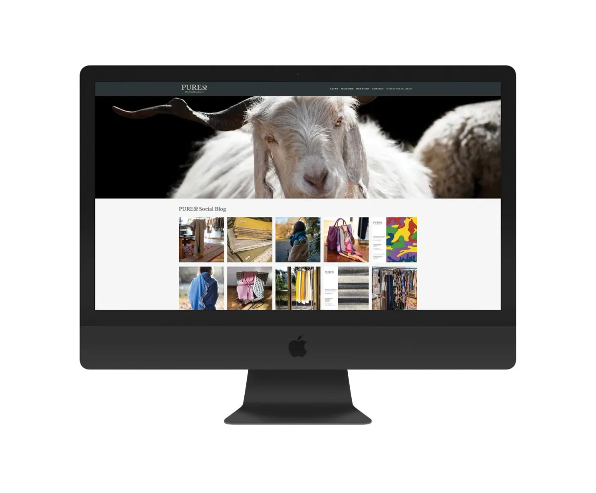 Squarespace website design example